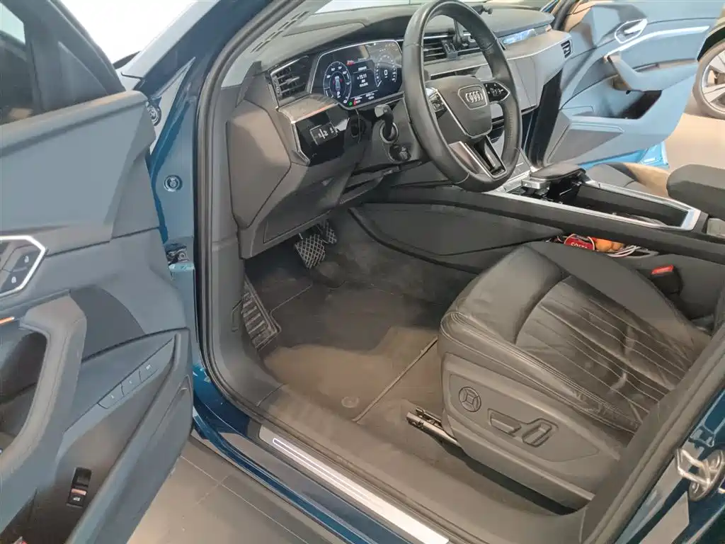 Audi e-tron (Import) — миниатюра 14