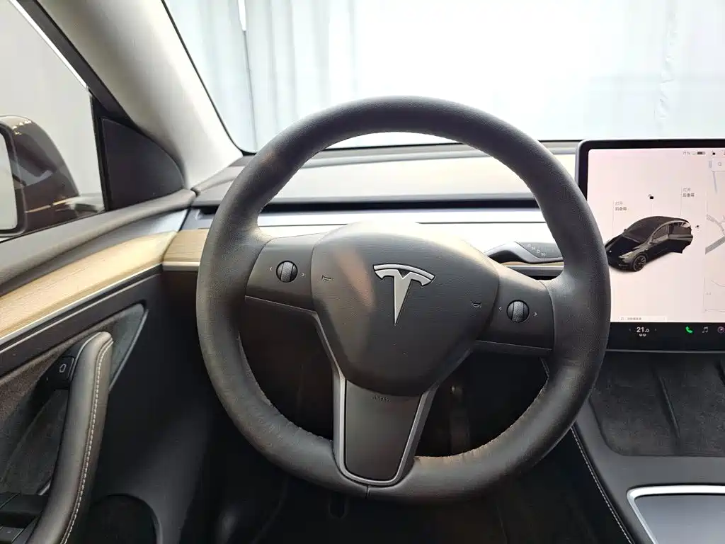 Tesla Model Y — миниатюра 12