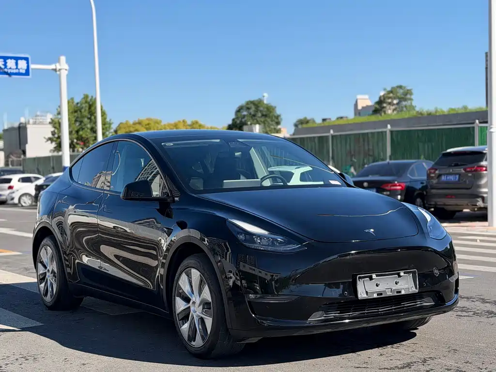Tesla Model Y — миниатюра 3