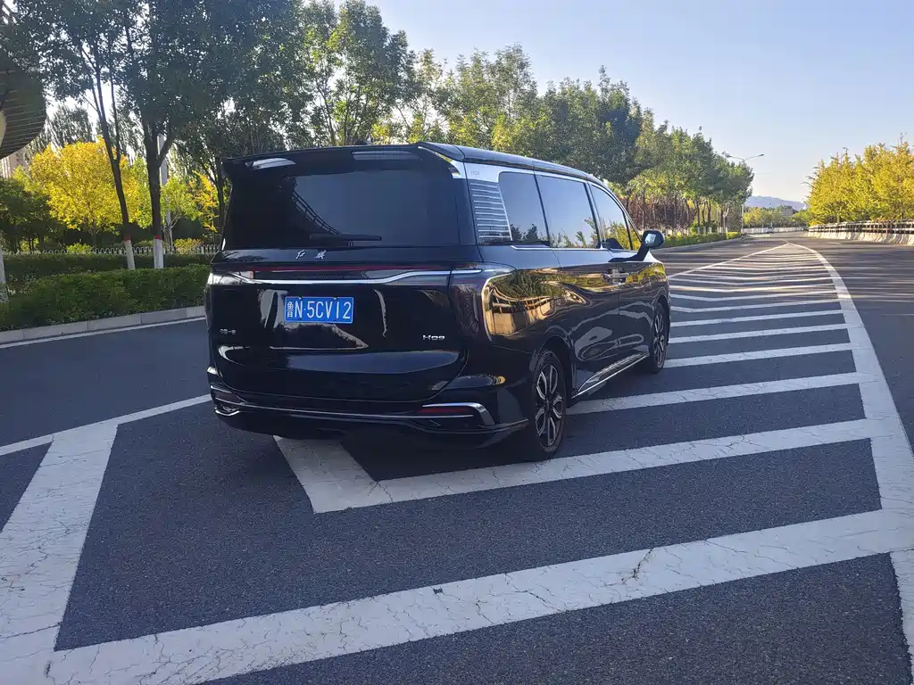 Hongqi Hongqi HQ9 — миниатюра 12