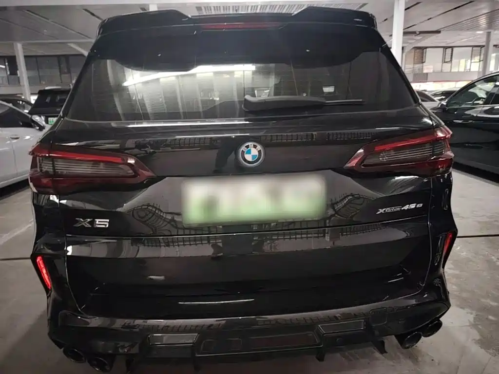 BMW X5 New Energy (Import) — миниатюра 6