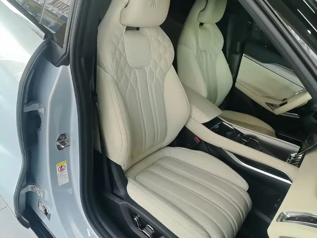 BYD L EV — миниатюра 25