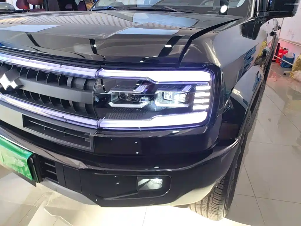 Fang Cheng Bao Leopard 5 — миниатюра 24