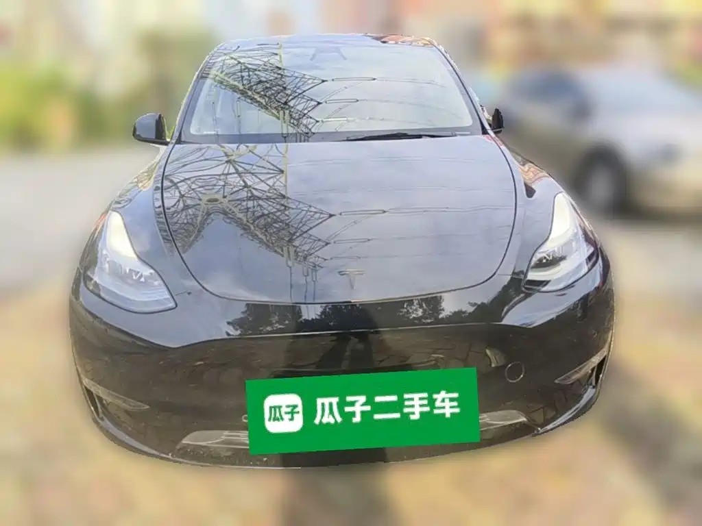 Tesla Model Y — миниатюра 5