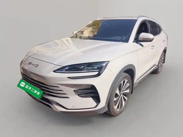 BYD SONGJIANG NEW ENERGY 2024