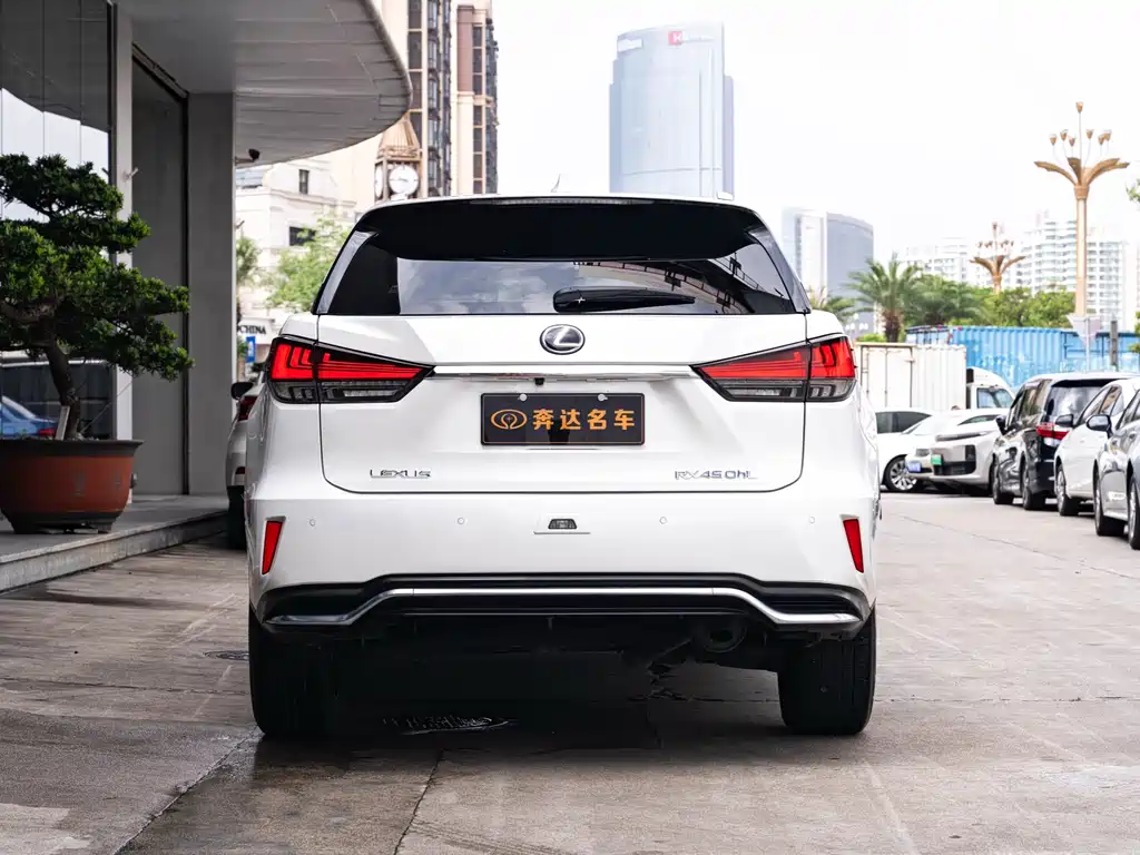 Lexus RX 2020 450hL Elegant 7 мест VI