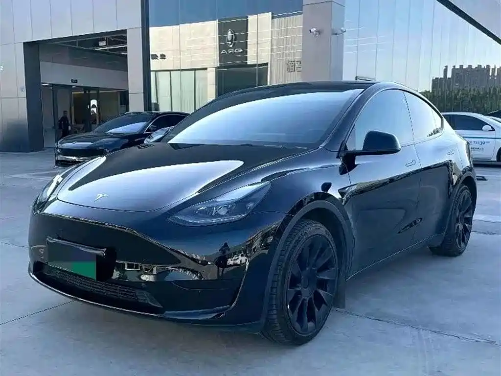 Tesla Model Y 2021 Standard Range RWD Edition