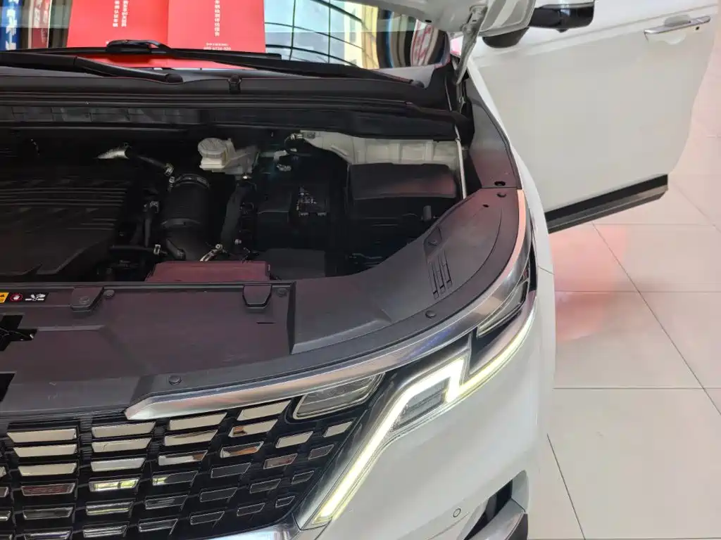 Kia Carnival — миниатюра 26