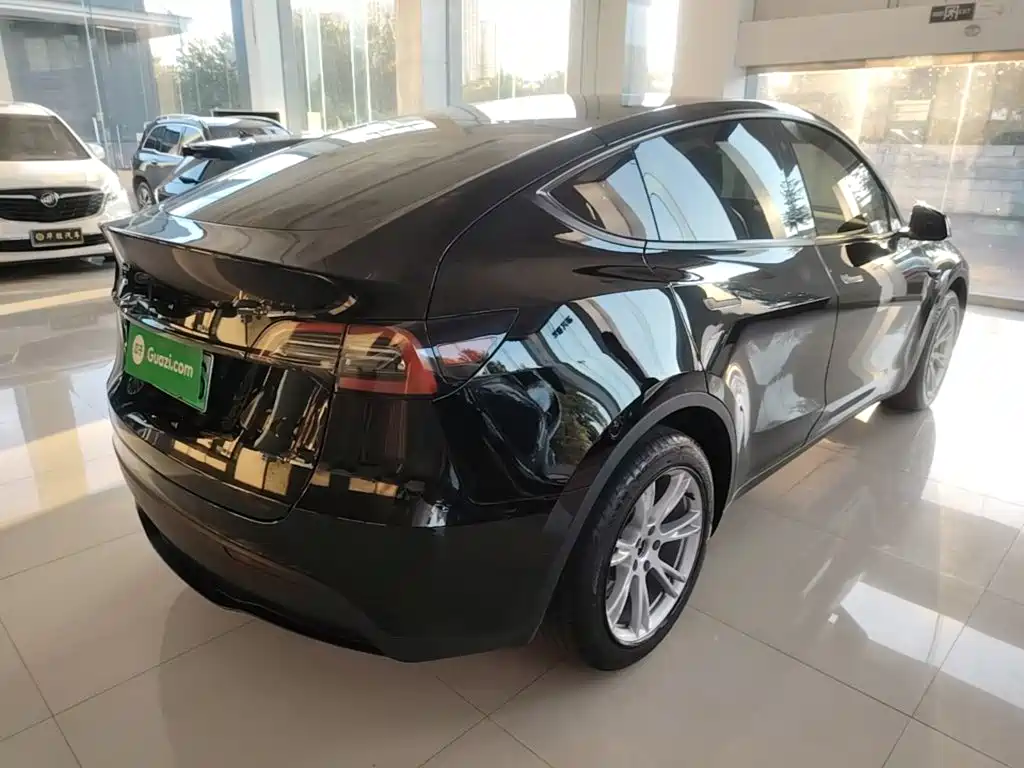 Tesla Model Y — миниатюра 7