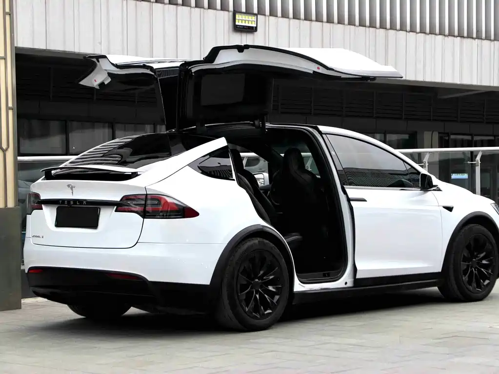 Tesla Model X — миниатюра 11