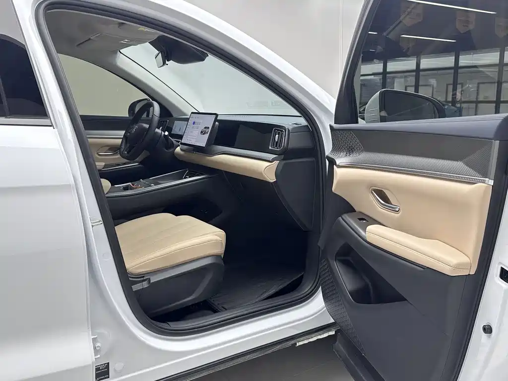 BYD SONGJIANG NEW ENERGY