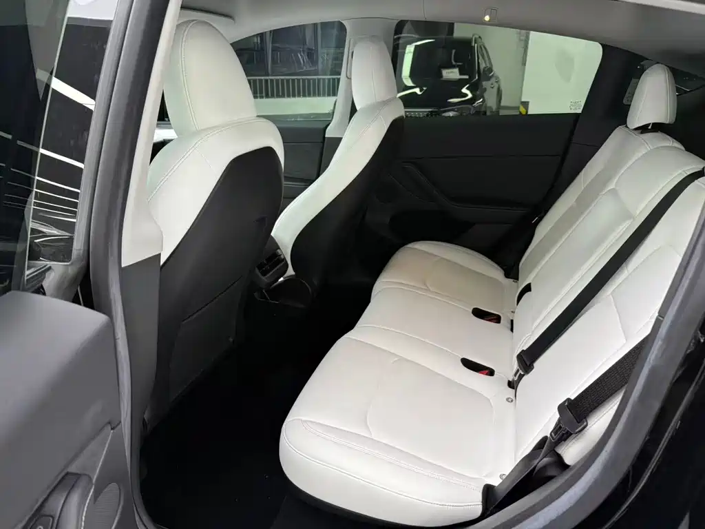 Tesla Model Y — миниатюра 6
