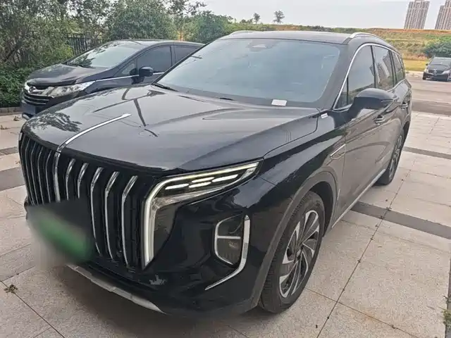2024 Hongqi HS7