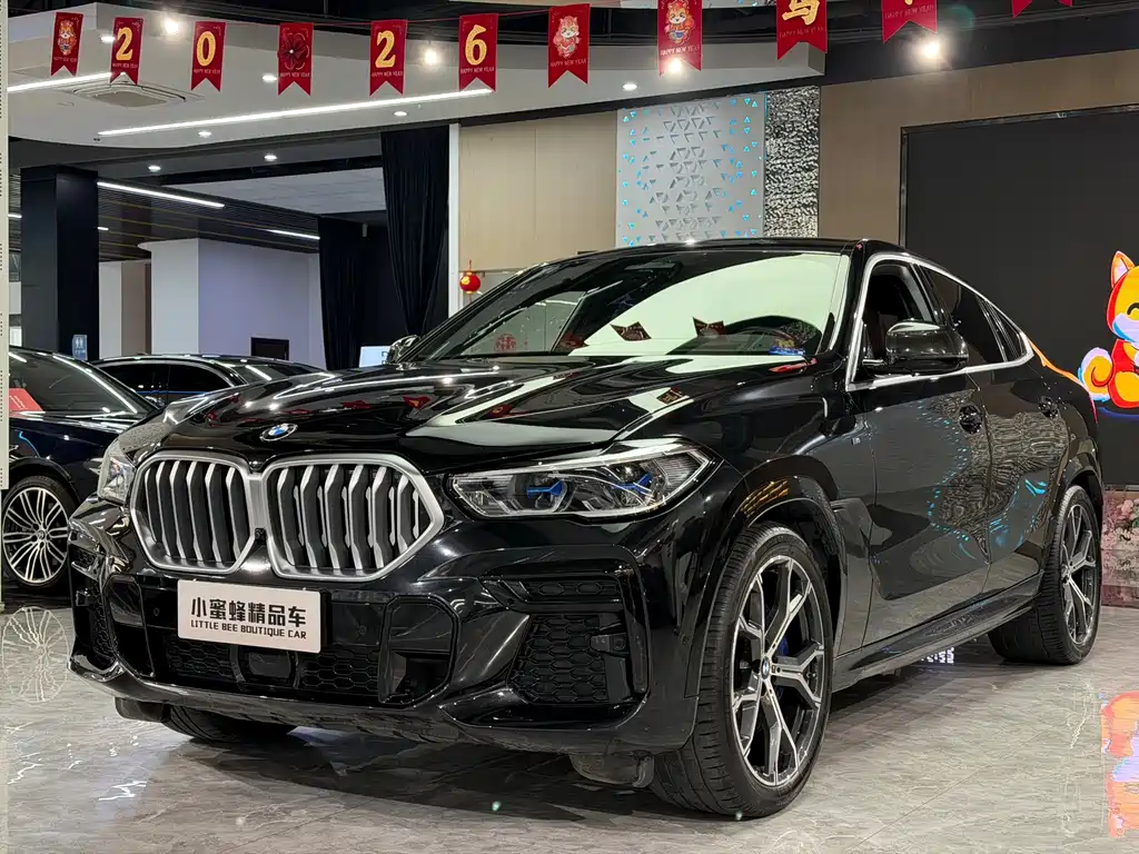 BMW X6