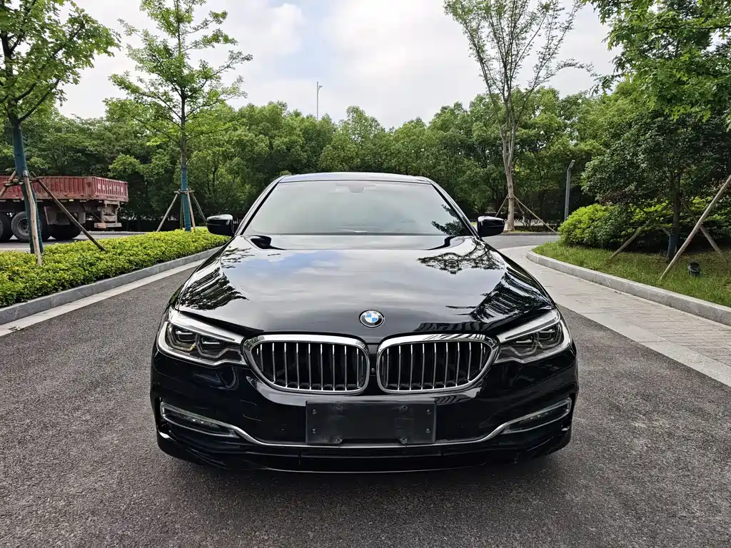 BMW 5 Series 5 2018 530Li Premium Luxury