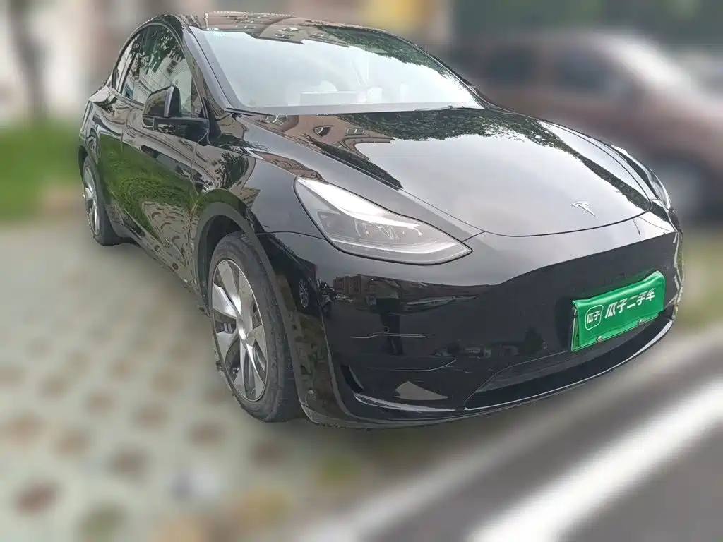 Tesla Model Y — миниатюра 23