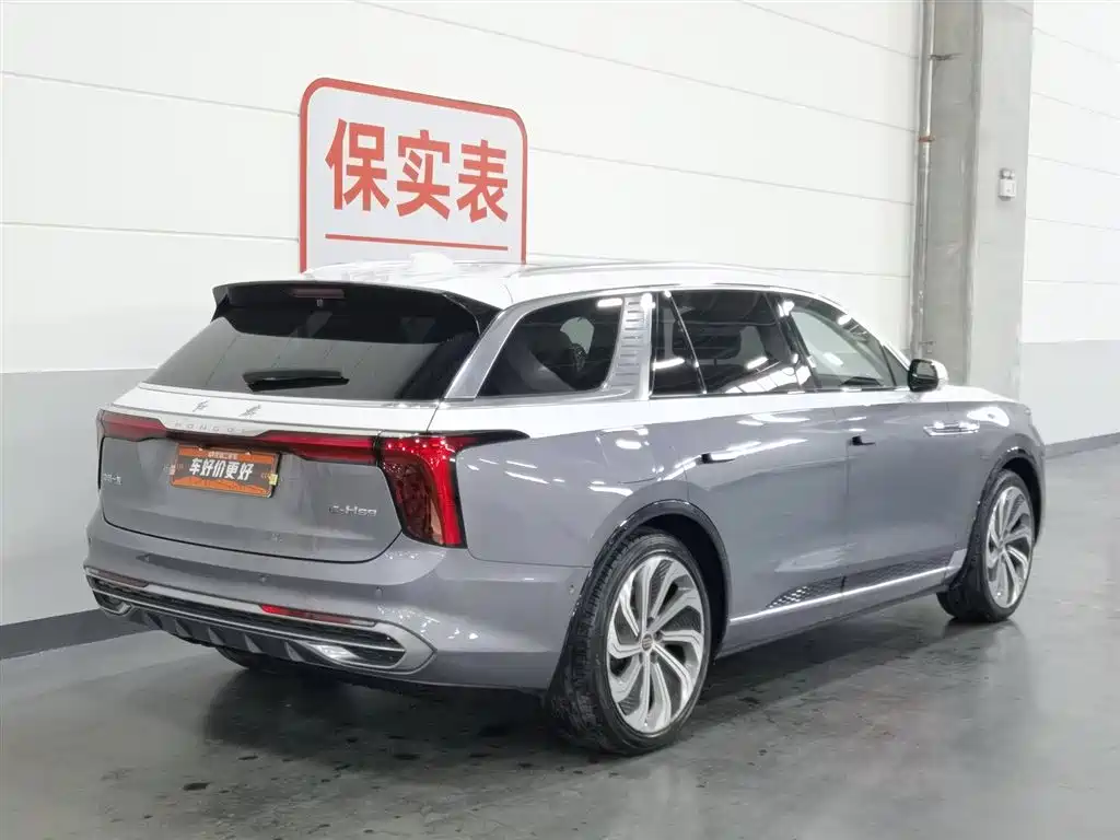 Hongqi E-HS9 2021 510km мест