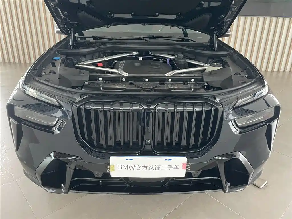 BMW X7 — миниатюра 6