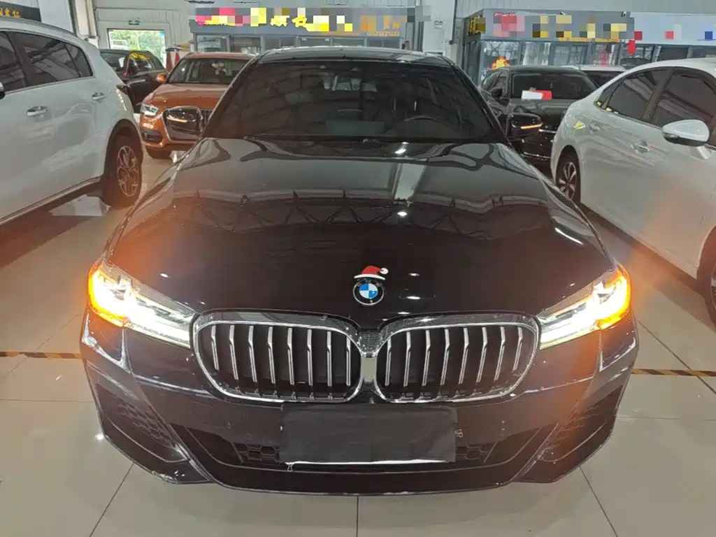 BMW 5 Series — миниатюра 3
