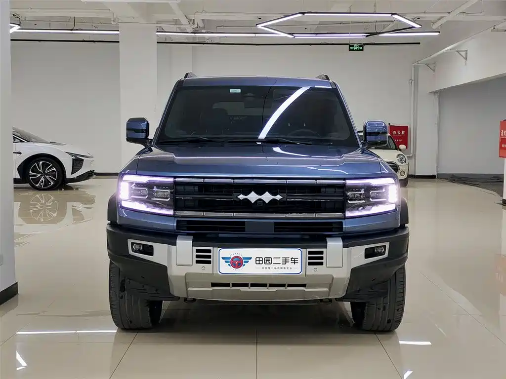 FANG CHENG BAO LEOPARD 5