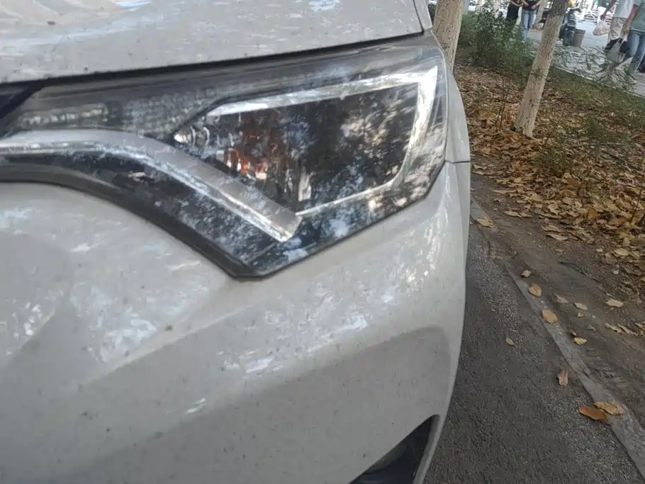 Toyota RAV4 — миниатюра 5