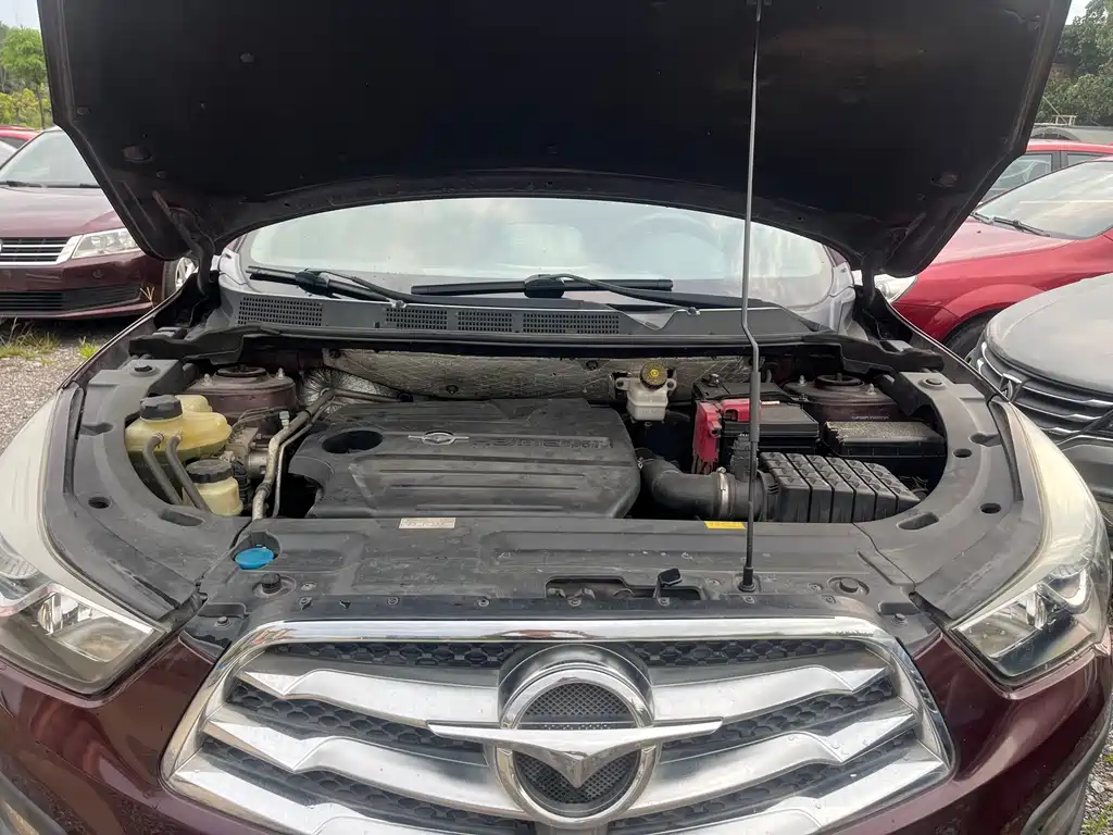 Haima Haima S5 — миниатюра 15