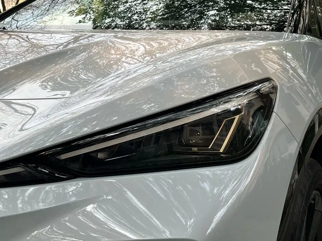 VOLKSWAGEN WITH THE CROWD 06