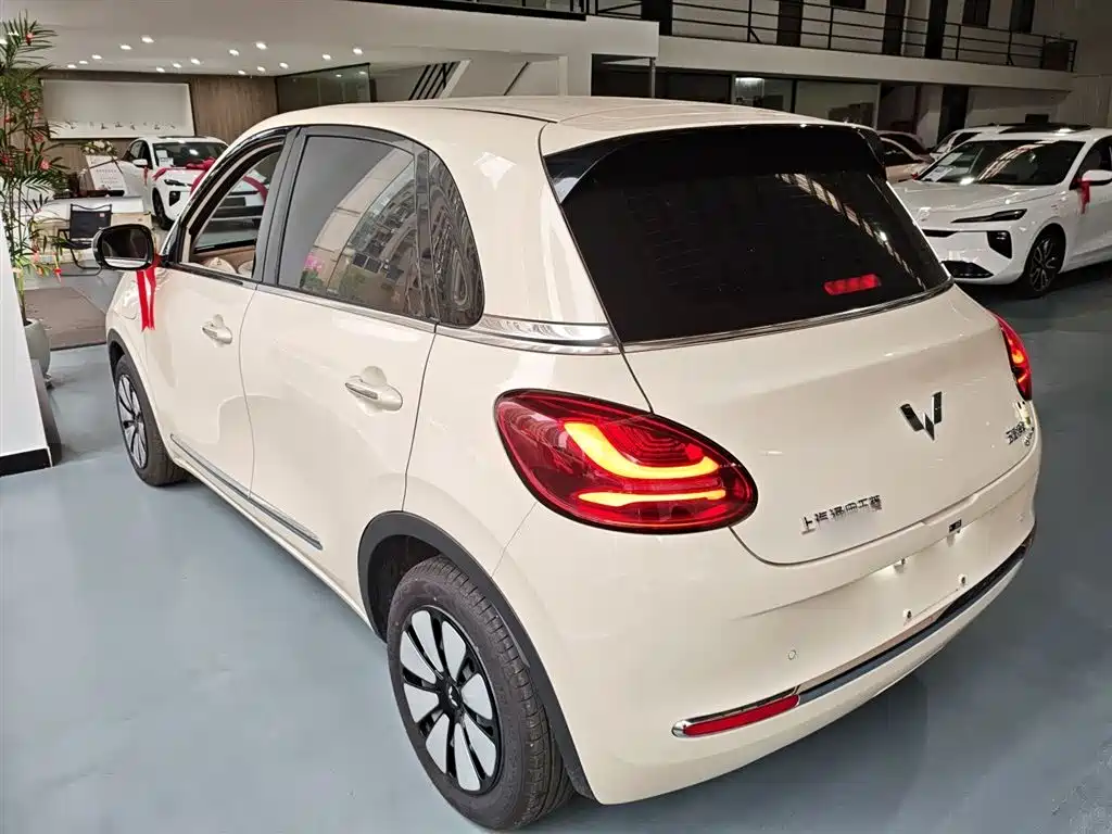 Wuling Binguo 2025 333km Enjoy
