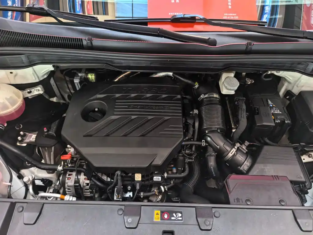 Kia Carnival — миниатюра 28