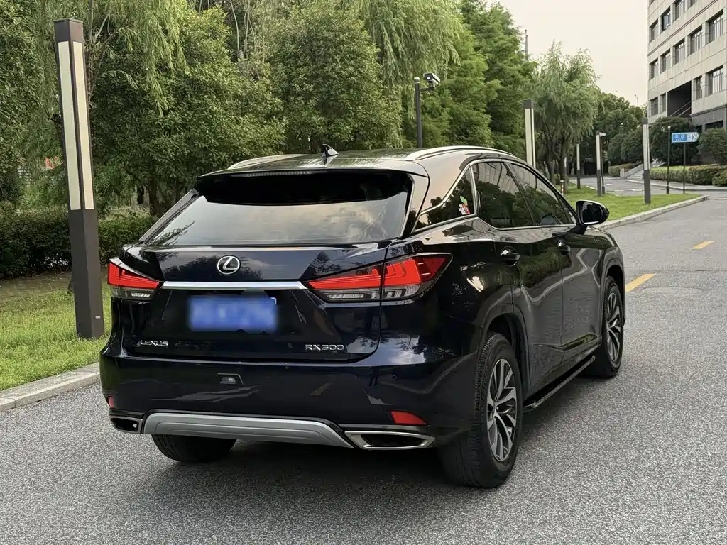 Lexus RX 2020 300 Comfort VI