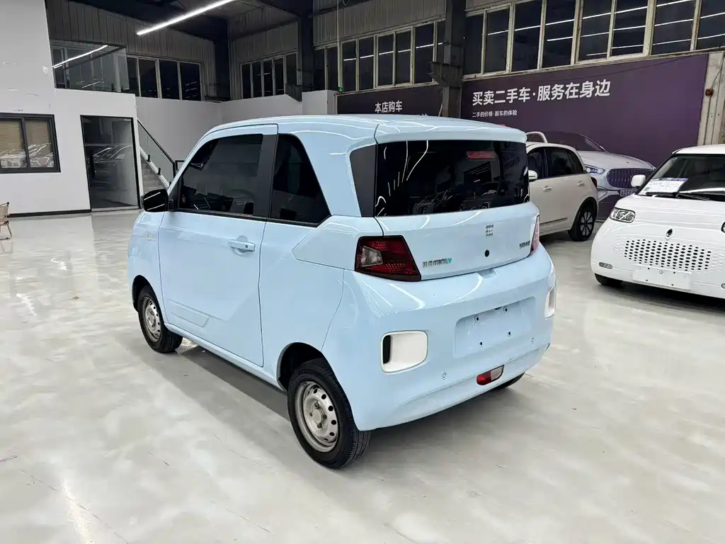 Fengguang Fengguang MINIEV — миниатюра 6