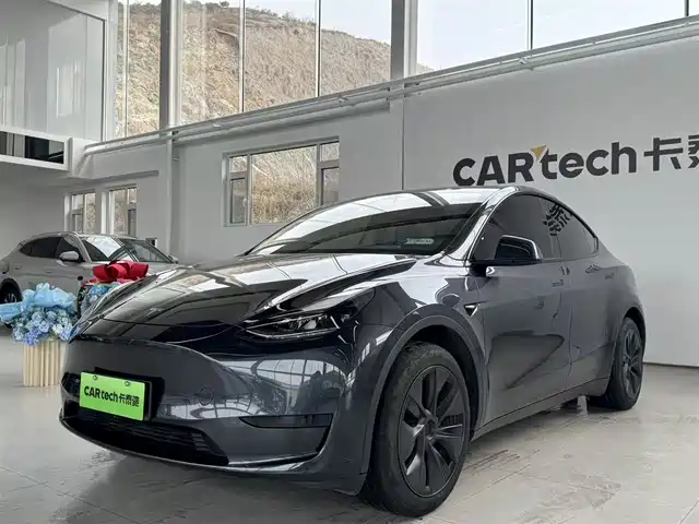 TESLA MODEL Y 2024