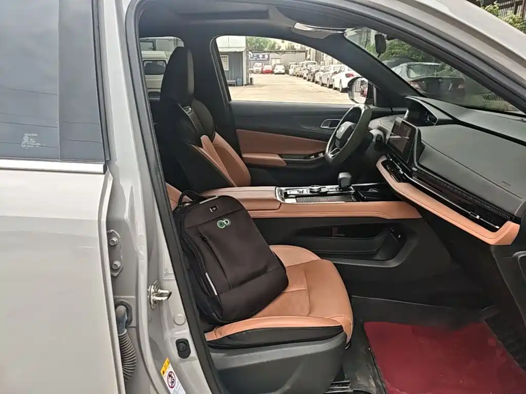 Qiyuan Чанг Ан Кай Q05 классика. — миниатюра 20