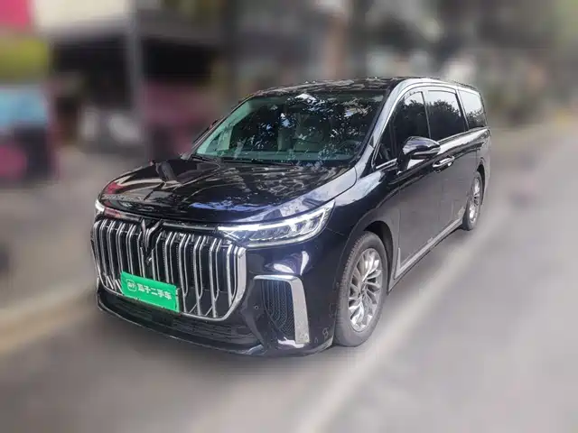 2024 Voyah Dream