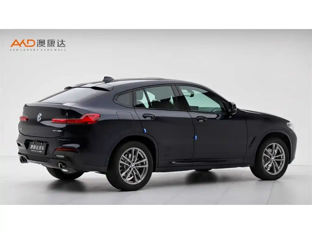 BMW X4 2021 xDrive 25i M Sport