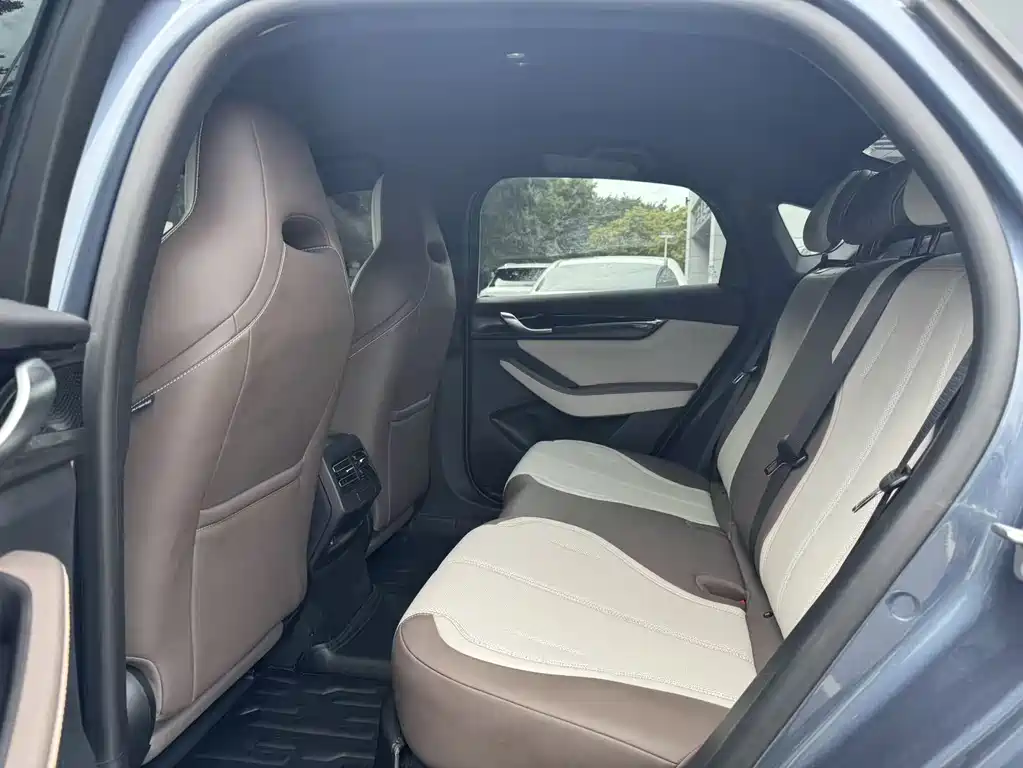 BYD Qin Plus PLUS 2024 EV 510KM Lead
