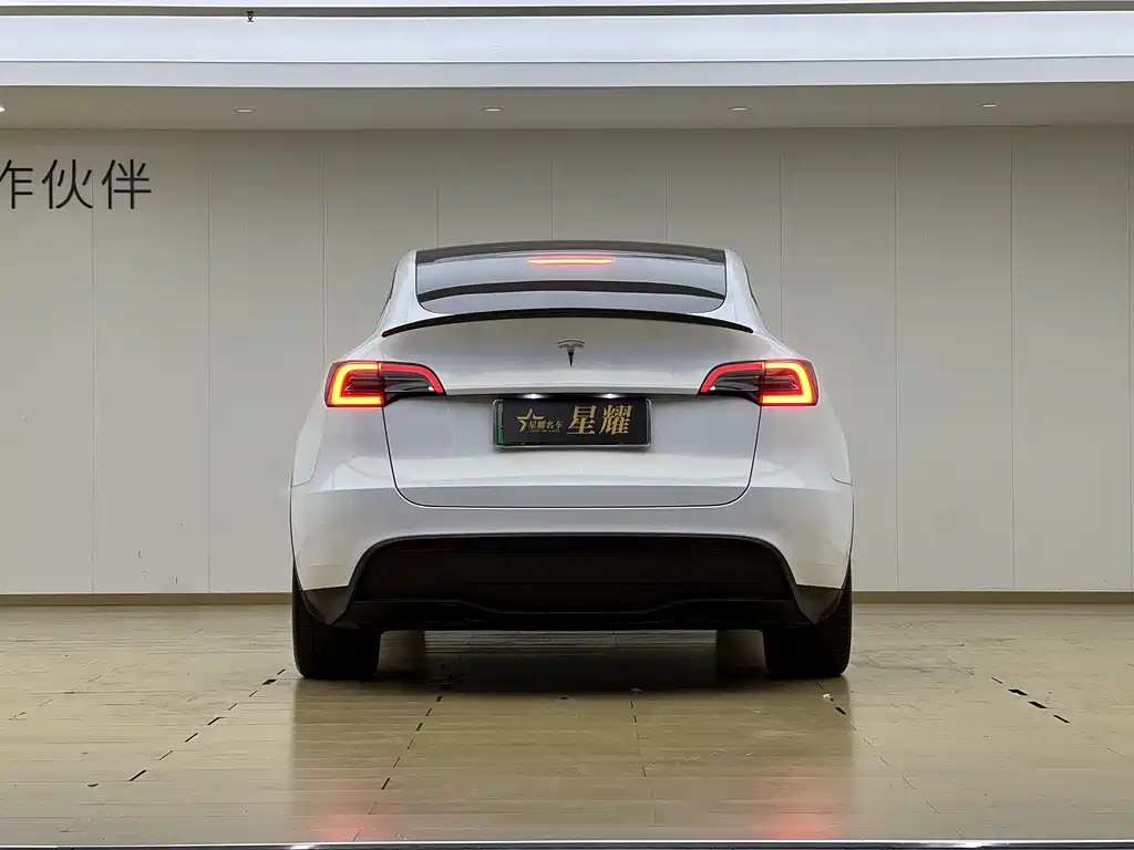 Tesla Model Y — миниатюра 21