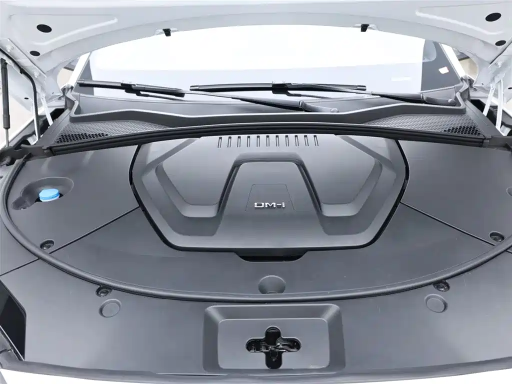 BYD SONGJIANG NEW ENERGY