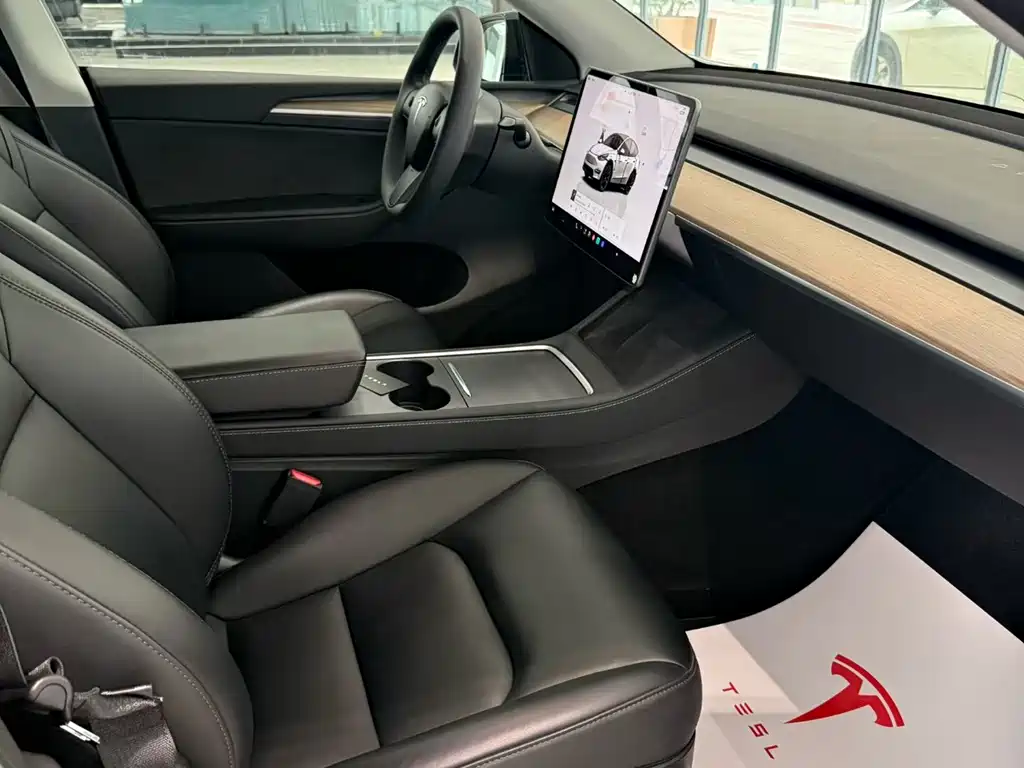 Tesla Model Y — миниатюра 5