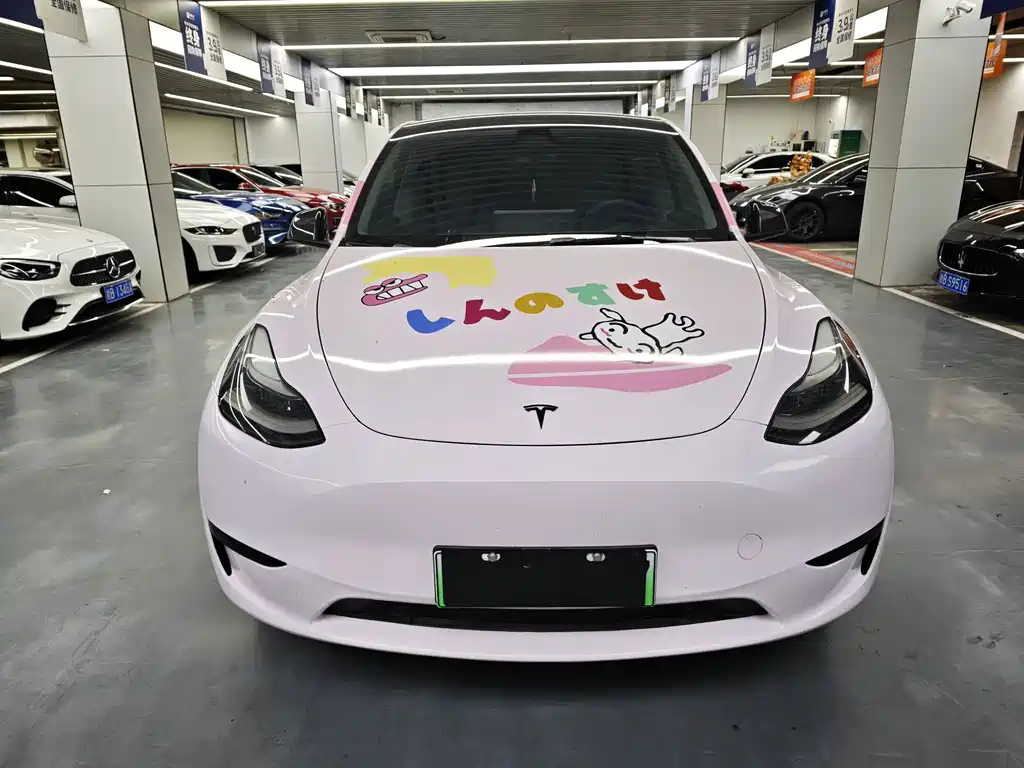 Tesla Model Y — миниатюра 2