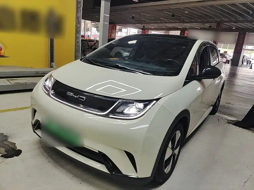 BYD Dolphin — миниатюра 2