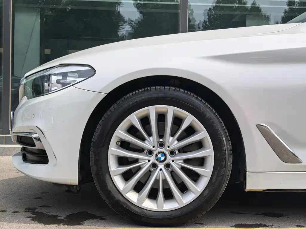 BMW 5 Series 5 2020 525Li Luxury