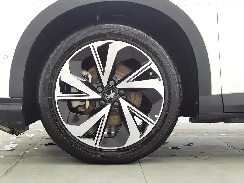 ARCFOX EXTREME FOX POLAR FOX ALPHA T5