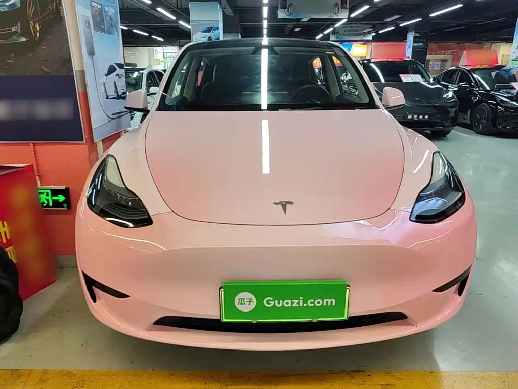 Tesla Model Y — миниатюра 3