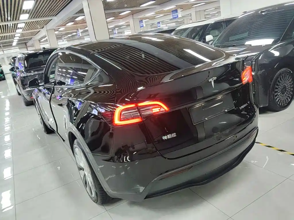 Tesla Model Y — миниатюра 5