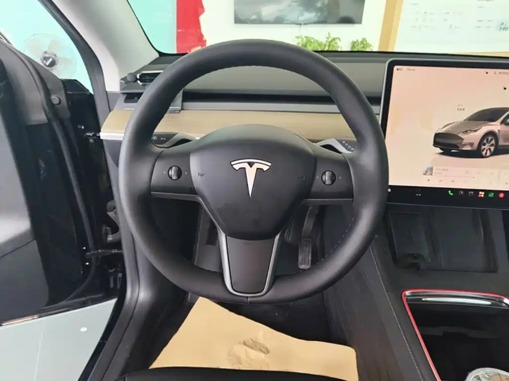 Tesla Model Y — миниатюра 11