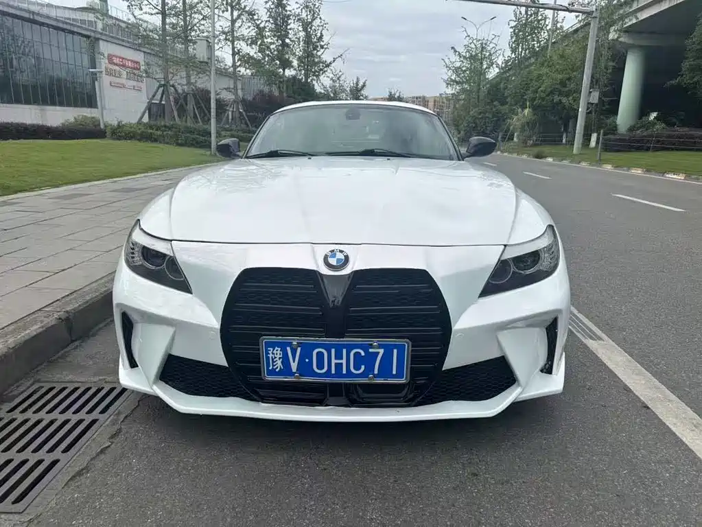 BMW Z4 2009 sDrive23i Lead