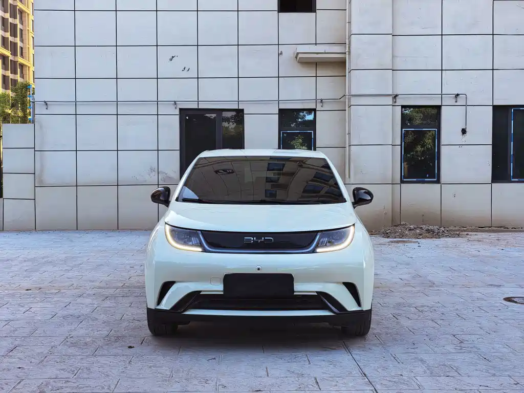 BYD Dolphin 2025 420km Freedom