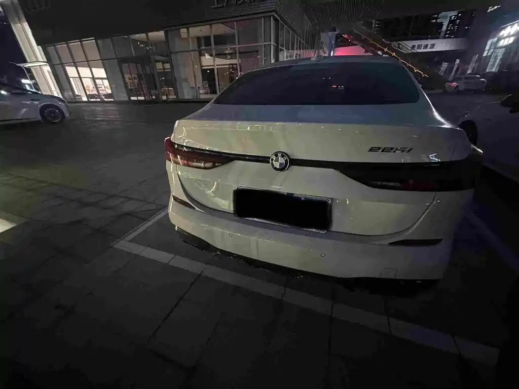 BMW 2 Series (Import) — миниатюра 3