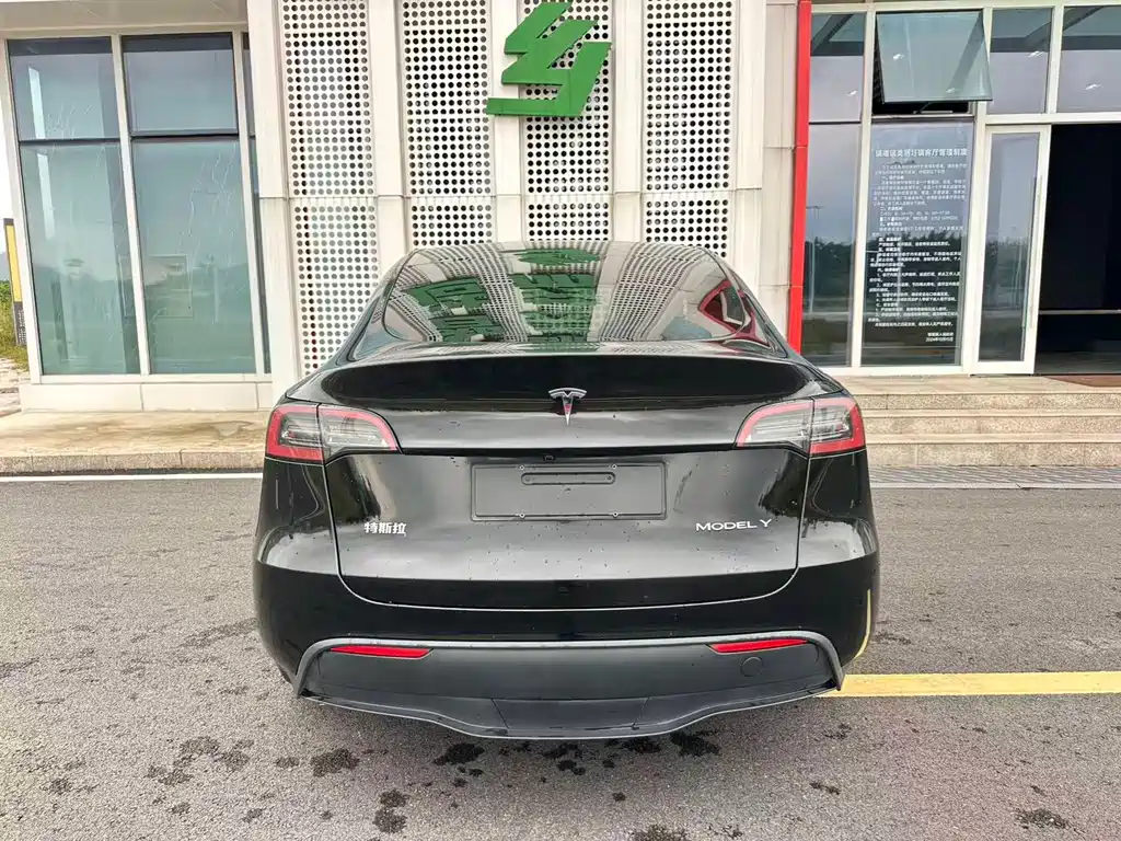 Tesla Model Y — миниатюра 27